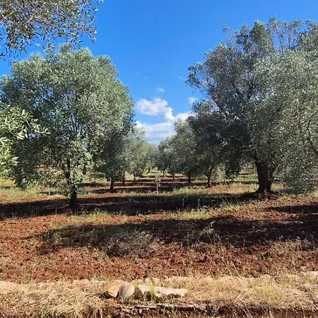 Il Nostro Sogno - Madonna By Tiny Away Holiday home