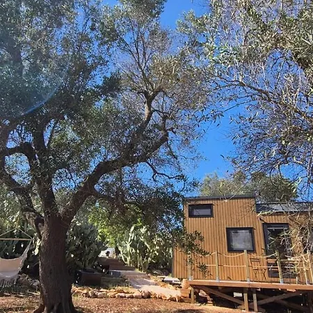 Holiday home Il Nostro Sogno - Madonna By Tiny Away San Michele Salentino